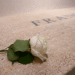 Pope Francis’ final journey – 11 symbolic moments from pontiff’s funeral procession