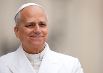All Catholics share in Church’s mission, not just clergy, pope says